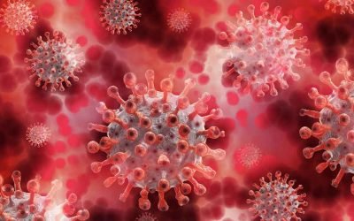 SARS-CoV-2: Structure, Proteins, and Pathogenesis of the New Coronavirus