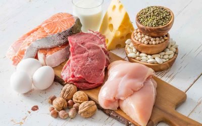 How Does Excess Protein Harm Health?