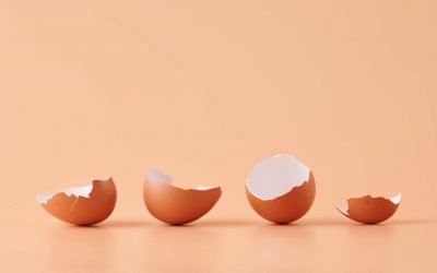 Calcium: What Happens If You Eat Eggshells Every Day?