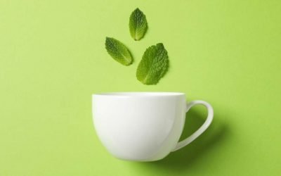 7 Herbs and Teas that Beat Stress and Insomnia