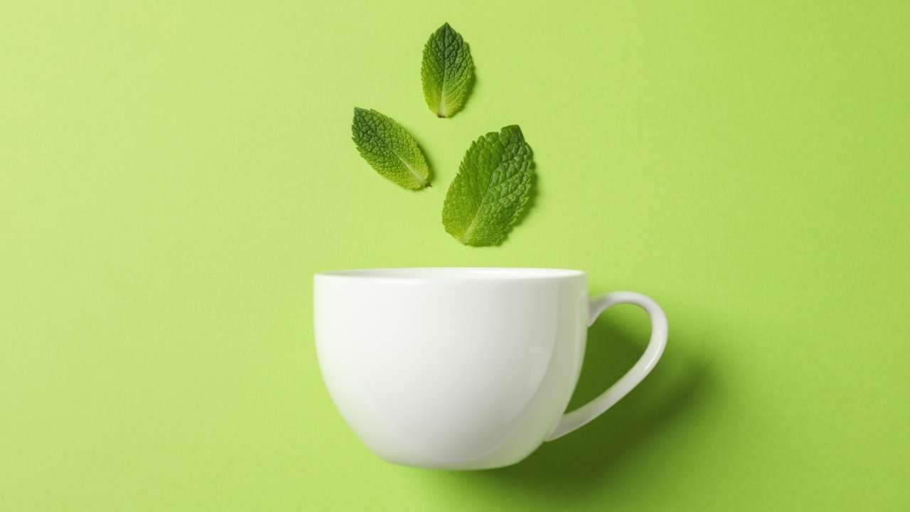 youwillfit - 7 Herbs and Teas that Beat Stress and Insomnia