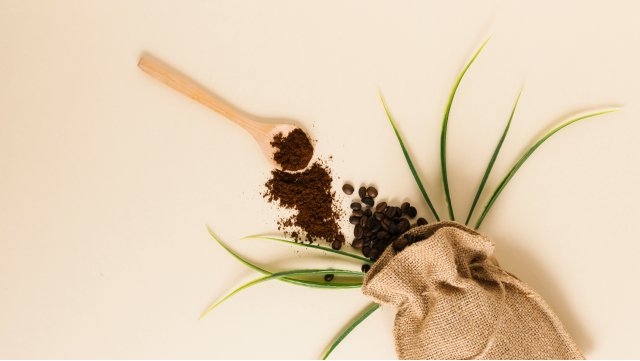 9 Ways To Reuse Coffee Grounds - youwillfit